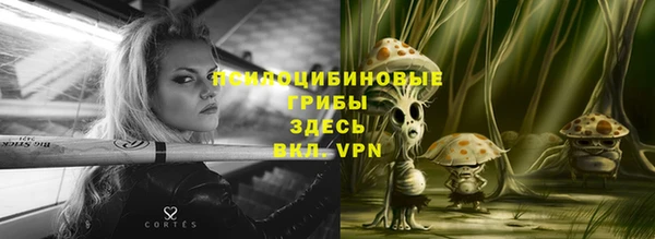 трава Беломорск