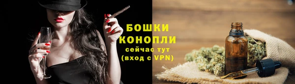 трава Беломорск